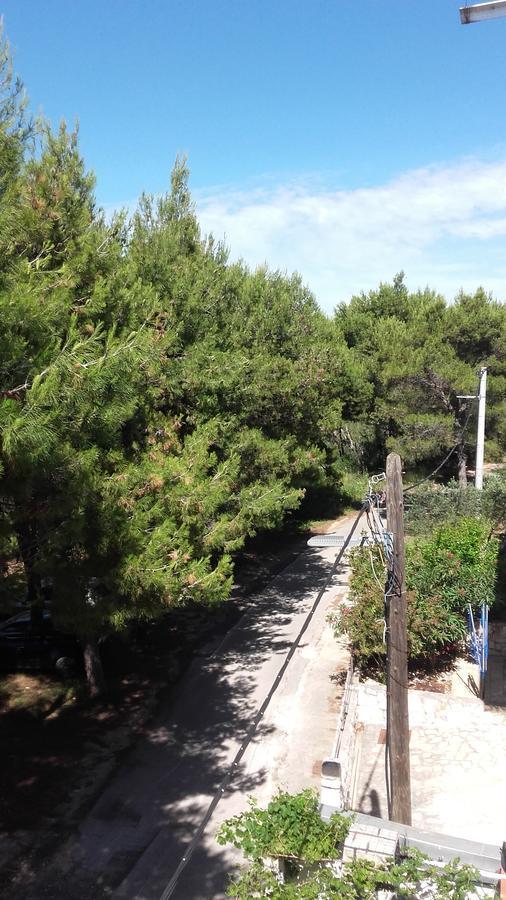 Villa Mateja Donji Okrug  Esterno foto