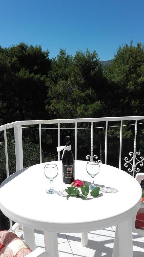 Villa Mateja Donji Okrug  Esterno foto