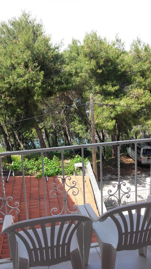 Villa Mateja Donji Okrug  Esterno foto