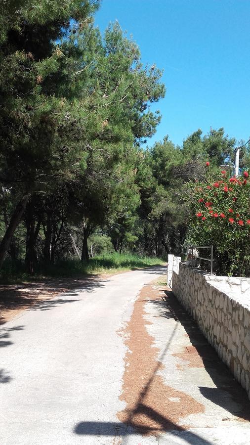 Villa Mateja Donji Okrug  Esterno foto