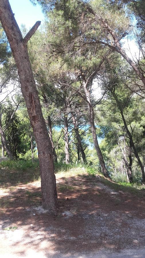 Villa Mateja Donji Okrug  Esterno foto