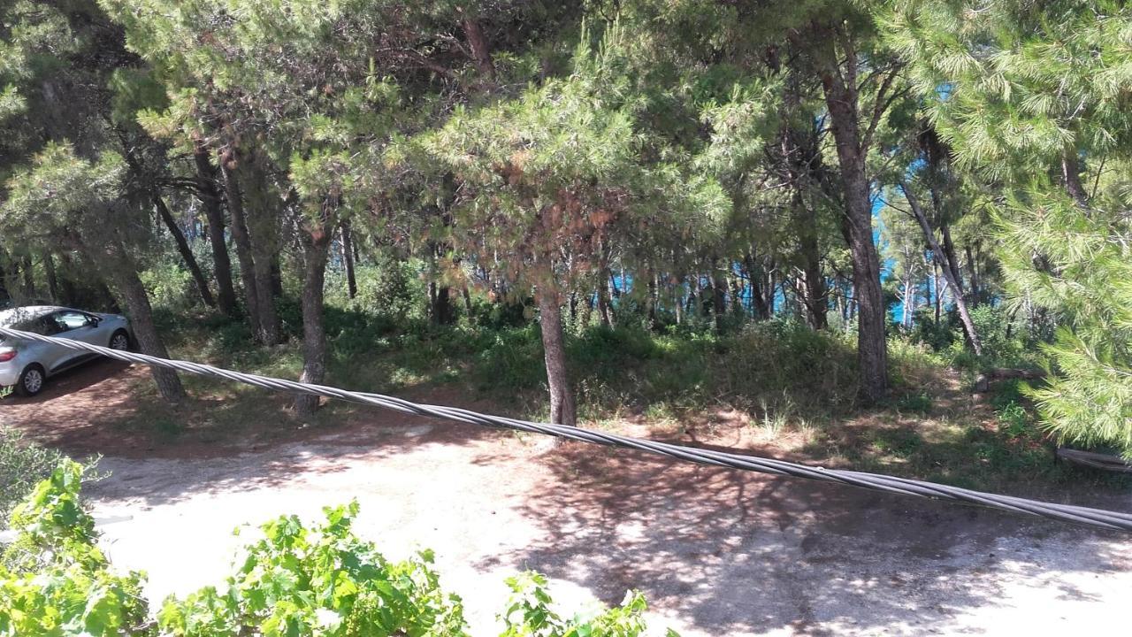 Villa Mateja Donji Okrug  Esterno foto