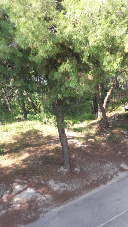 Villa Mateja Donji Okrug  Esterno foto